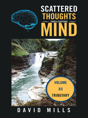 cover image of Scattered Thoughts from a Scattered Mind, Volume XII